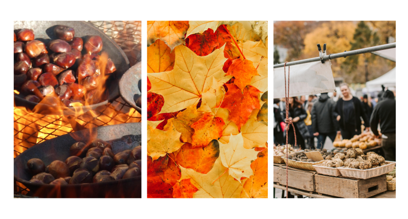 Offre groupe : la fête de la Châtaigne et de la Truffe en Italie !