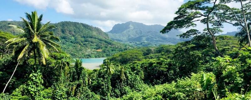Visiter Huahine en groupe
