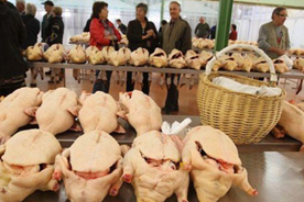 Profitez d'aller faire un tour dans un véritable marché au gras dans le GERS au départ de Aubagne et ses alentours