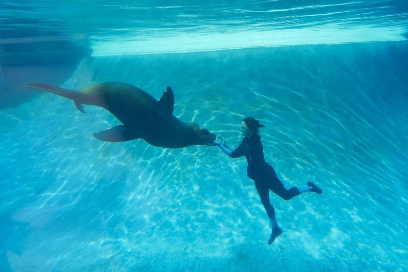 Profitez d'un moment de détente au parc animalier et d'attraction le PAL
