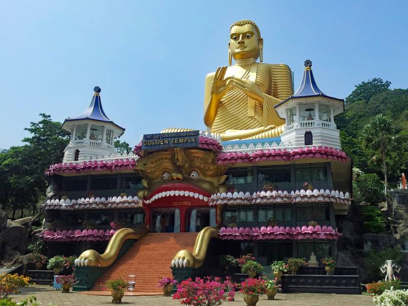 Explorez le Sri Lanka en groupe : découvrez l’histoire, la nature et les traditions locales.