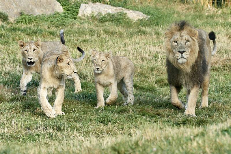 Allez au PAL 1er parc européen d'attraction et ZOO