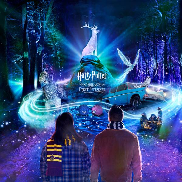 Harry Potter : l'expérience en forêt interdite en groupe, en Occitanie, pension complète, au départ de Marseille et alentours