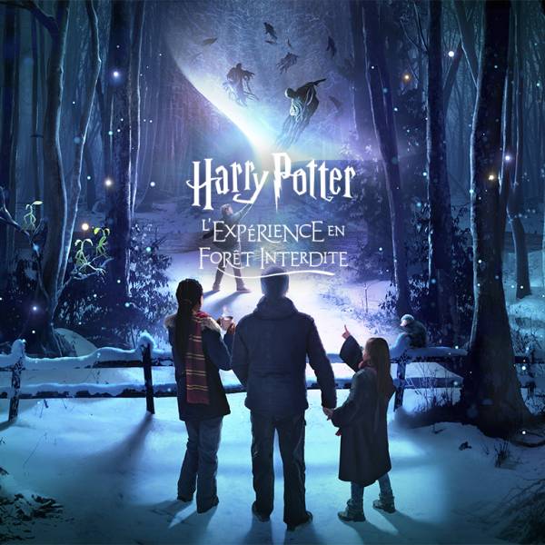 Séjour en groupe : Harry Potter : forbidden forest, pension complète, au départ de Marseille et alentours