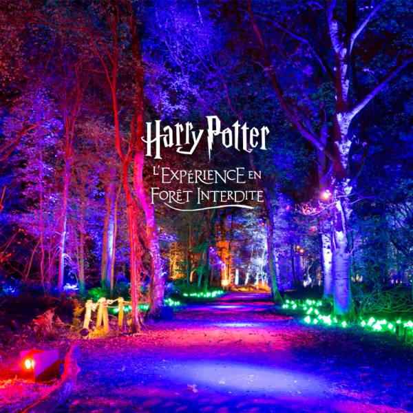 Forbidden forest Harry Potter Montauban Séjour en pension complète