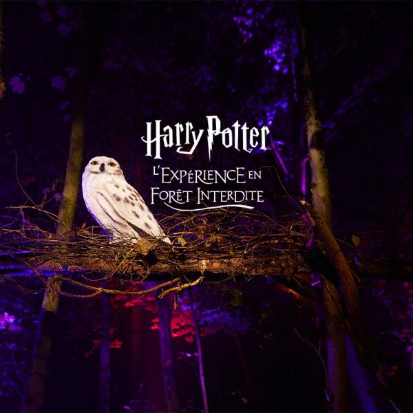 Séjour en groupe : Harry Potter : l'expérience en forêt interdite, en Occitanie, pension complète, au départ de Marseille et alentours