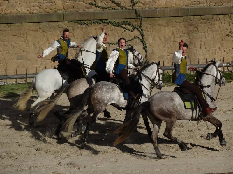 Profitez des beautés du PUY DU FOU au départ de Marseille