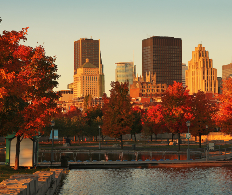 Montréal, entre nature urbaine et ambiance automnale