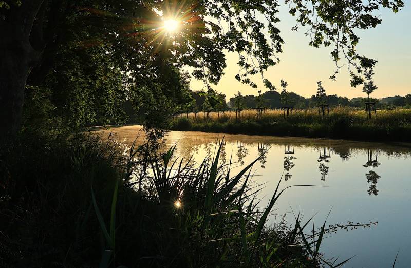 Le Canal du Midi a votre porté avec l'agence SARLIN.